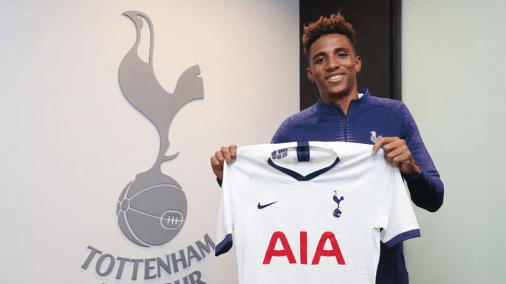 Fernandes will wear the No 30 shirt for Spurs